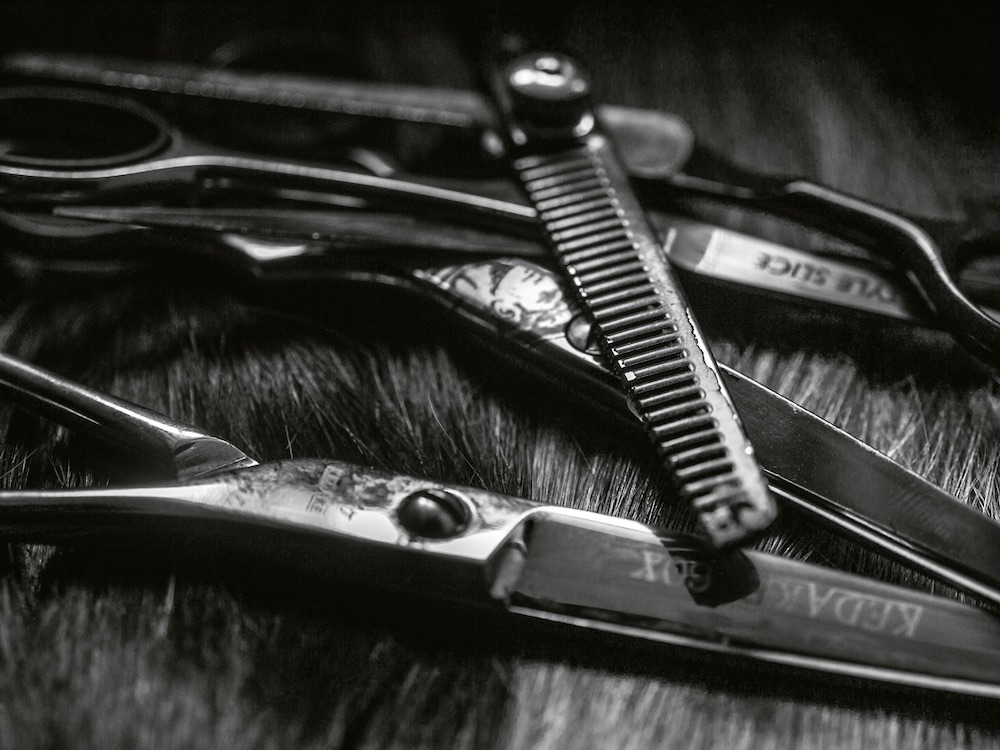 Nevíte si rady se společenským účesem? Nechte si poradit od profesionálů