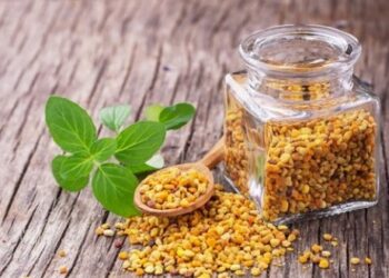 Včelí pyl je zázrak z květů