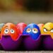 Před Velikonocemi ožívají výživové mýty: zvyšují vajíčka cholesterol?